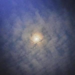 女人19水真多毛片学生
