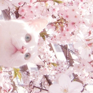 女人19水真多毛片学生
