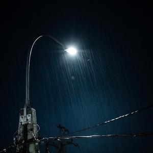 女人19水真多毛片学生
